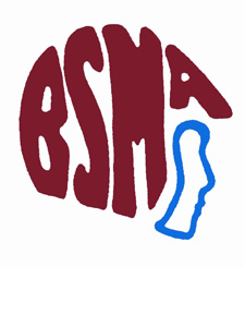 BSMA_slider 1